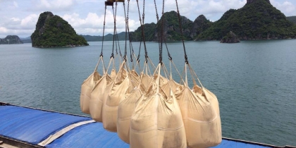 The government requires limiting the export of cement The government requires limiting the export of cement